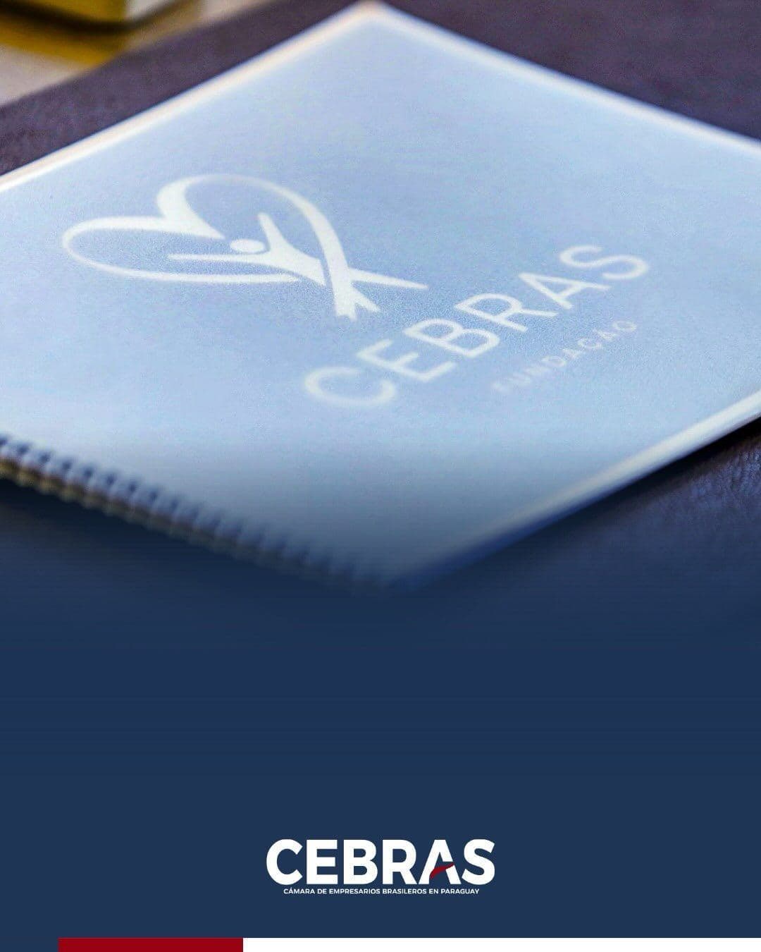 Caderno da Fundação CEBRAS